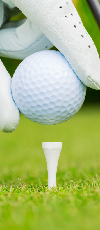 桃園網頁設計-GoGolf高球趣