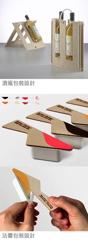 桃園網頁設計_Webservice08