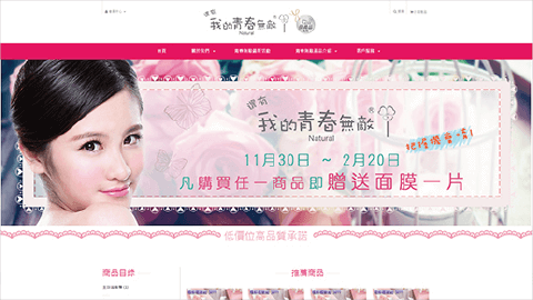 桃園網頁設計_Webservice34