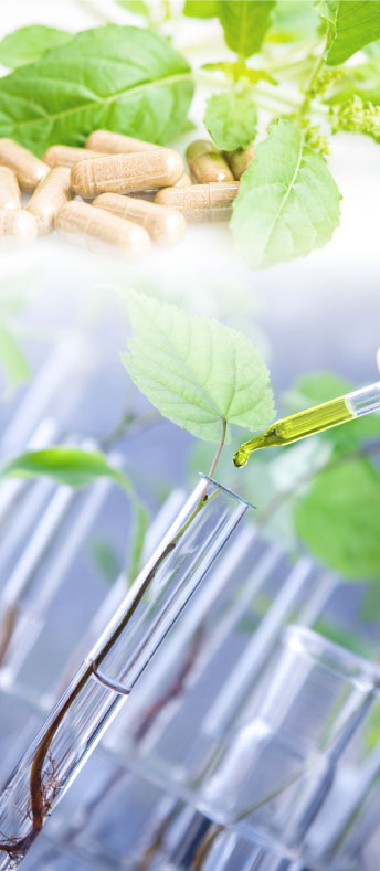 桃園網頁設計-明嘉生物科技有限公司